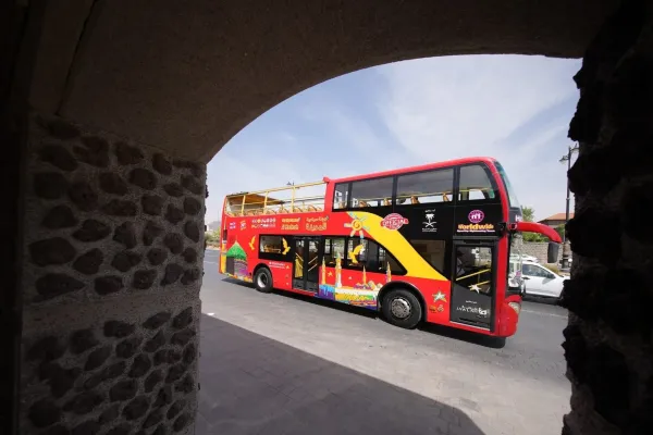 Must-Do in Madinah: 3 Experiences Around Quba Square